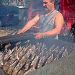 Peipsimaa Peipsimaa